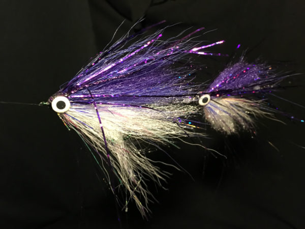I will follow - Purple angel