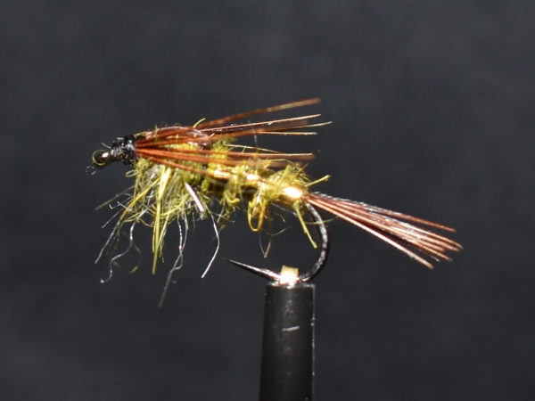 N0011 Nymph