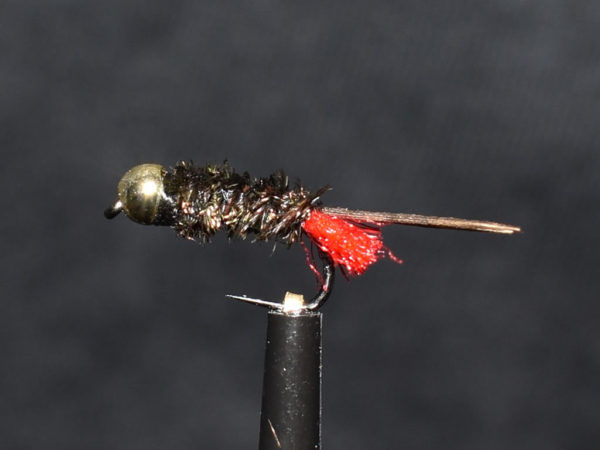 N0013 Nymph
