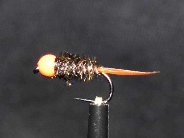 N0015 Nymph
