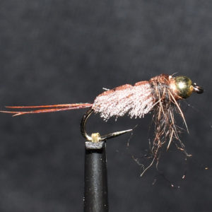 N0020 Nymph