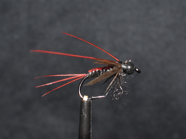 N0022 Nymph