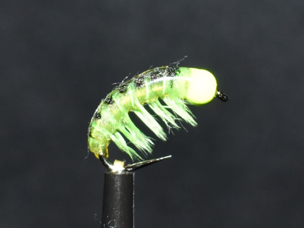 N0024 Nymph