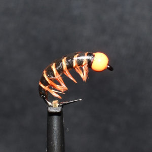 N0028 Nymph