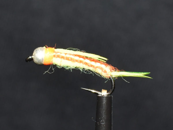 N0029 Nymph