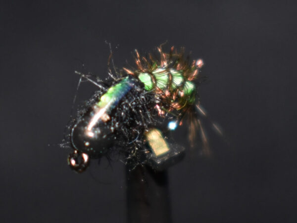 N0039 Shrimp
