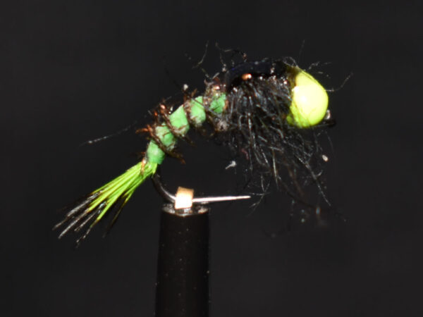 N0041 Shrimp