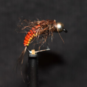 N0046 Nymph