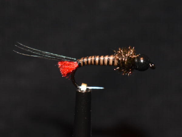 N0047 Nymph