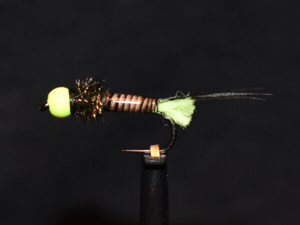 N0048 Nymph
