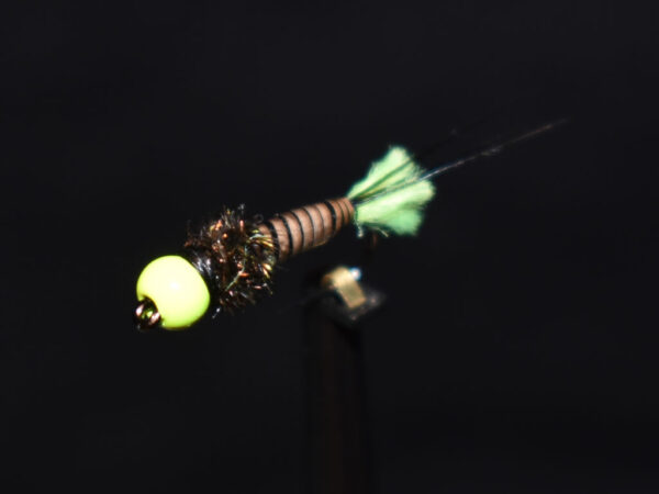 N0048 Nymph