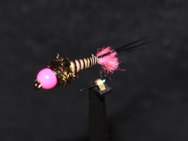 N0050 Nymph